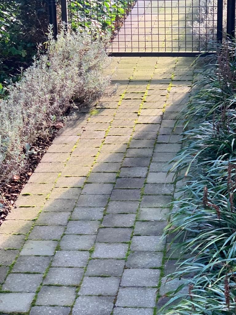 Tuinpad langs de border
